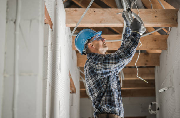 Best Generator Installation Services  in Libertyvle, IL